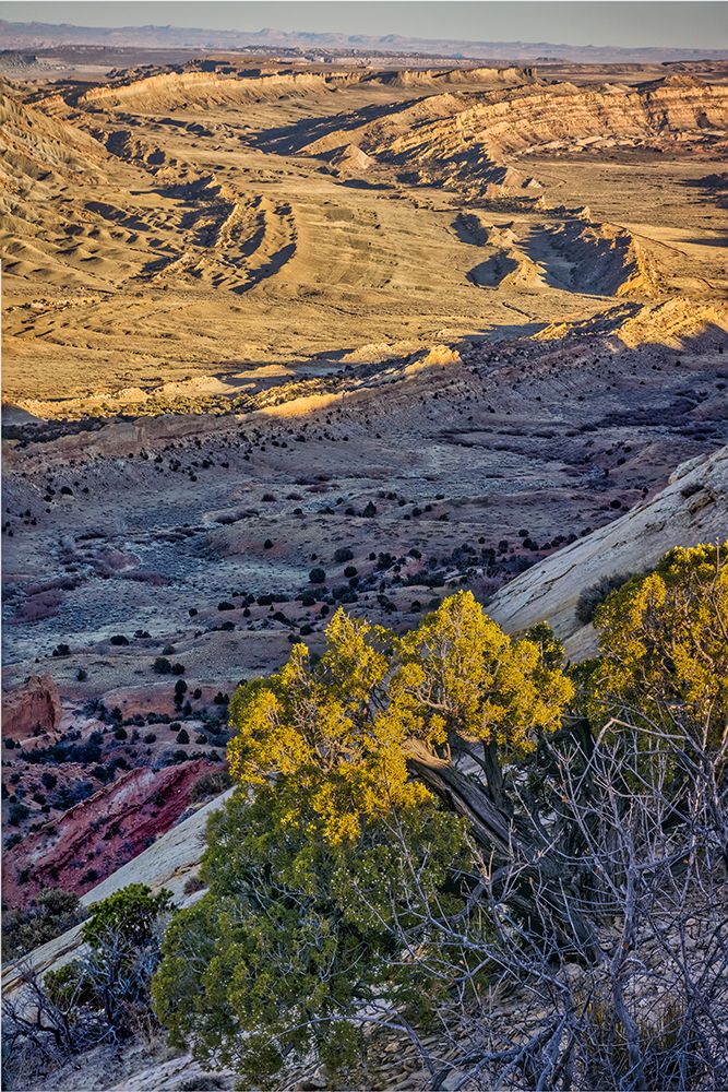 Strike Valley Outlook-Escalante-Utah art print by John Ford for $57.95 CAD