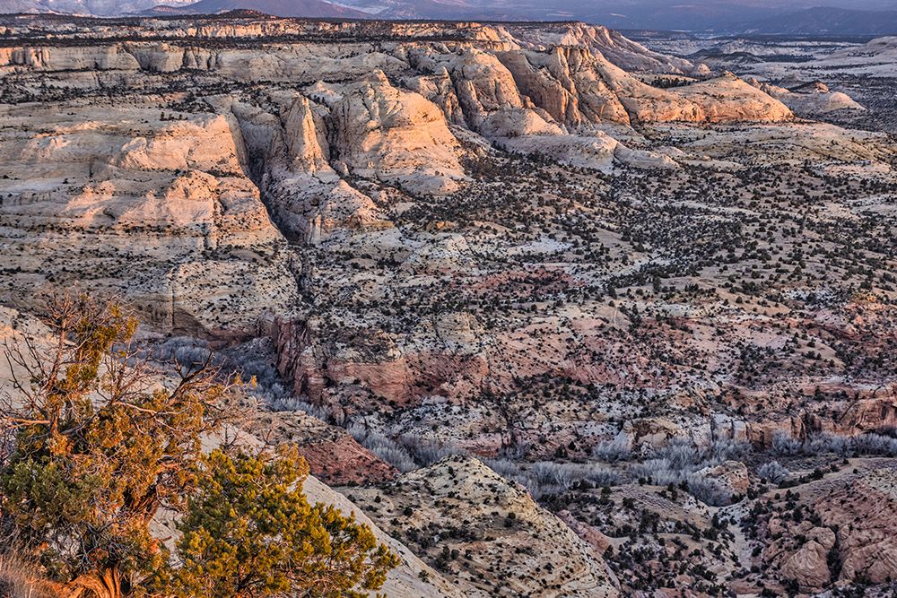 Slickrock-Escalante-Utah art print by John Ford for $57.95 CAD