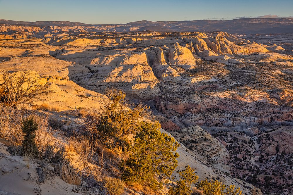 Slickrock-Escalante-Utah art print by John Ford for $57.95 CAD
