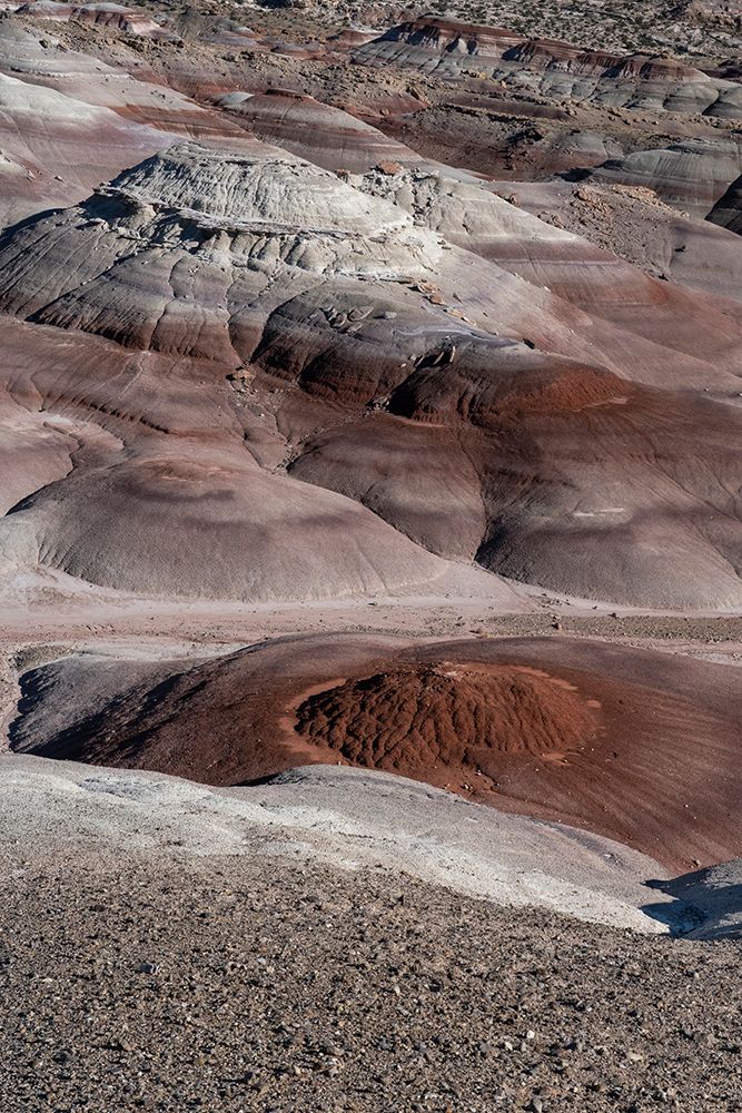 USA-Utah. Bentonite Hills geological feature-Capitol Reef National Park art print by Judith Zimmerman for $57.95 CAD