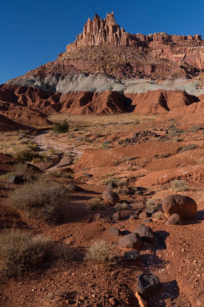USA-Utah. The Castle-Capitol Reef National Park art print by Judith Zimmerman for $57.95 CAD
