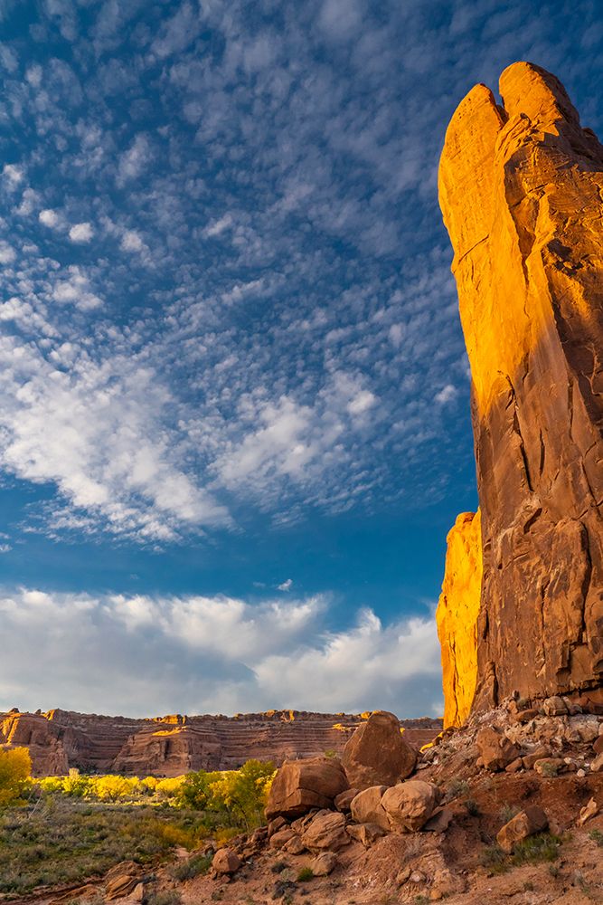 USA-Utah. Cliffs-clouds-and autumn cottonwoods at sunset-Arches National Park art print by Judith Zimmerman for $57.95 CAD