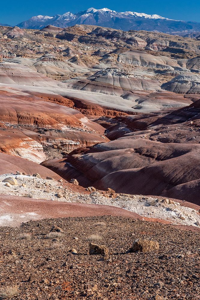 USA-Utah. Bentonite Hills-Capitol Reef National Park art print by Judith Zimmerman for $57.95 CAD