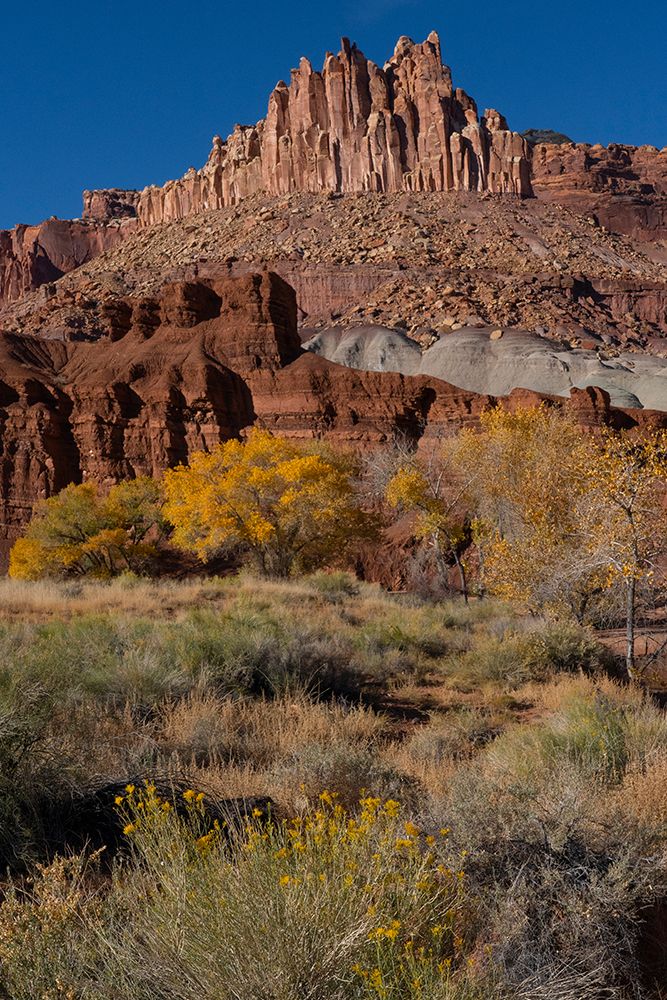 USA-Utah. The Castle-geological features and autumn foliage-Capitol Reef National Park art print by Judith Zimmerman for $57.95 CAD