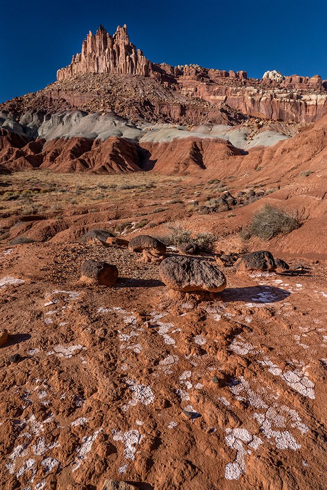 USA-Utah. Sandstone geological features and autumn foliage-Capitol Reef National Park art print by Judith Zimmerman for $57.95 CAD