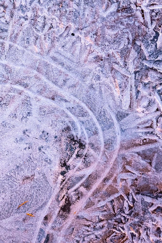 USA-Utah Ice formations Arches National Park art print by Judith Zimmerman for $57.95 CAD