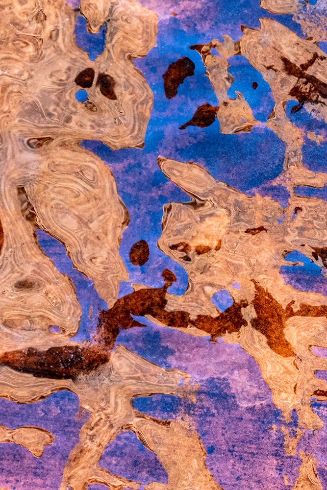 USA-Utah Ice formations Arches National Park art print by Judith Zimmerman for $57.95 CAD