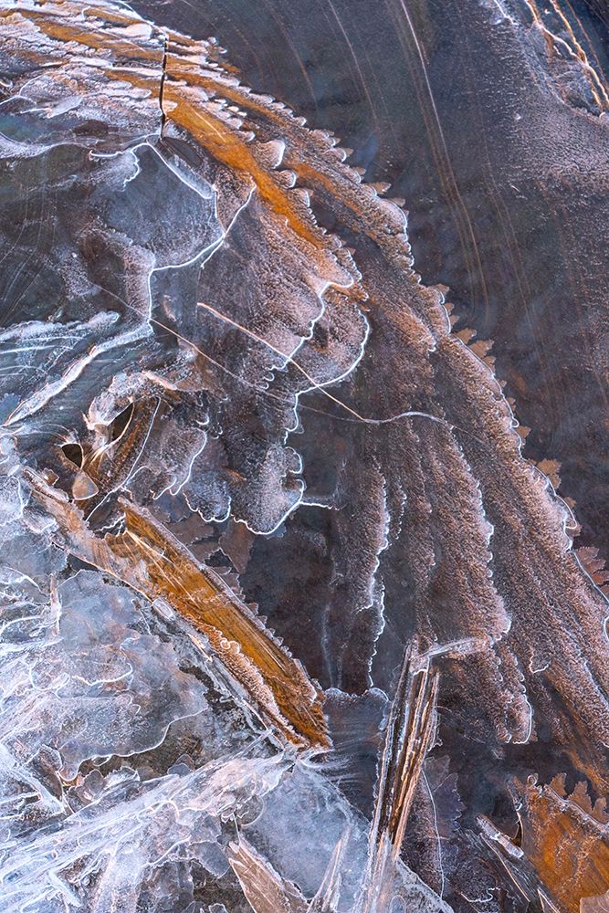 USA-Utah Ice formations Arches National Park art print by Judith Zimmerman for $57.95 CAD
