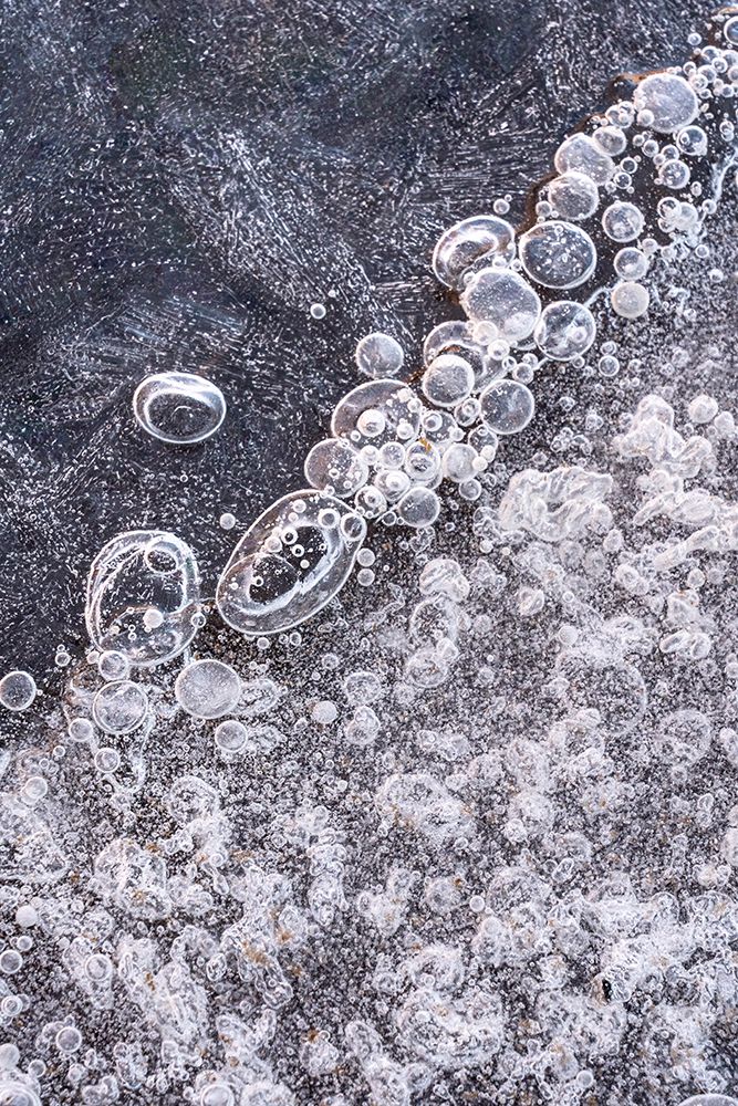 USA-Utah Ice bubble formations Arches National Park art print by Judith Zimmerman for $57.95 CAD