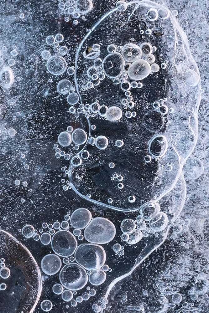 USA-Utah Ice bubble-formations Arches National Park art print by Judith Zimmerman for $57.95 CAD