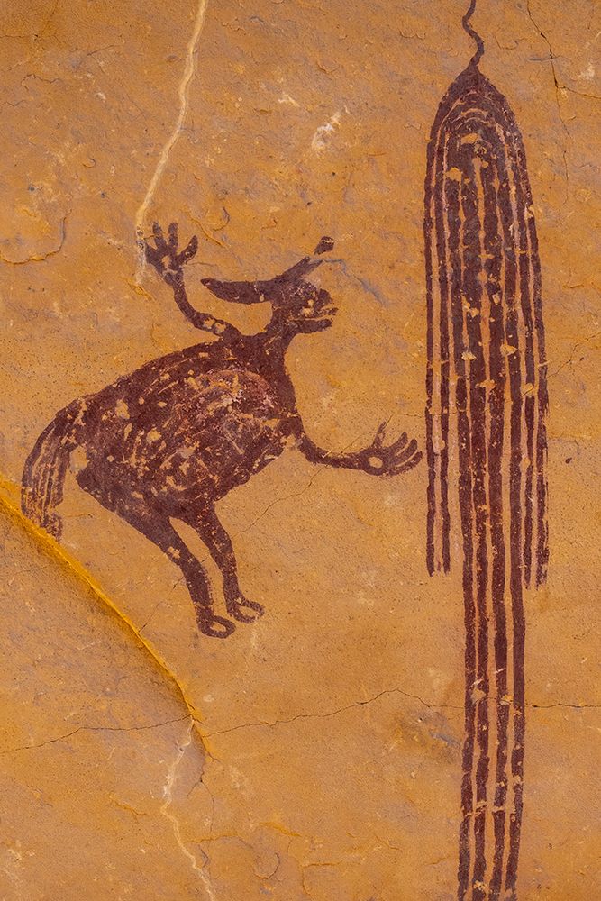 USA-Utah Head of Sinbad Panel pictographs in San Rafael Swell Recreation Area art print by Judith Zimmerman for $57.95 CAD
