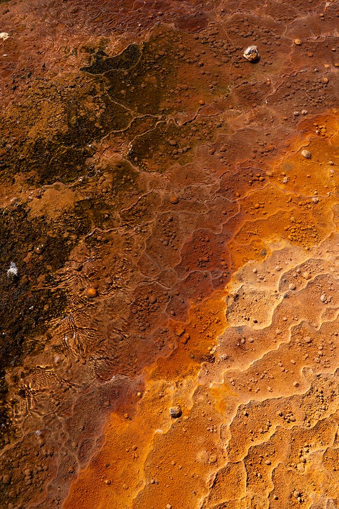 USA-Utah Crystal Geyser-a cold water geyser-travertine geological formation-near Green River art print by Judith Zimmerman for $57.95 CAD