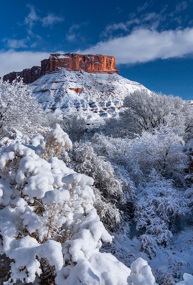 USA-Utah Winter snowfall in Castle Valley art print by Judith Zimmerman for $57.95 CAD