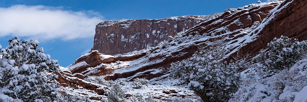 USA-Utah Winter snowfall in Castle Valley art print by Judith Zimmerman for $57.95 CAD