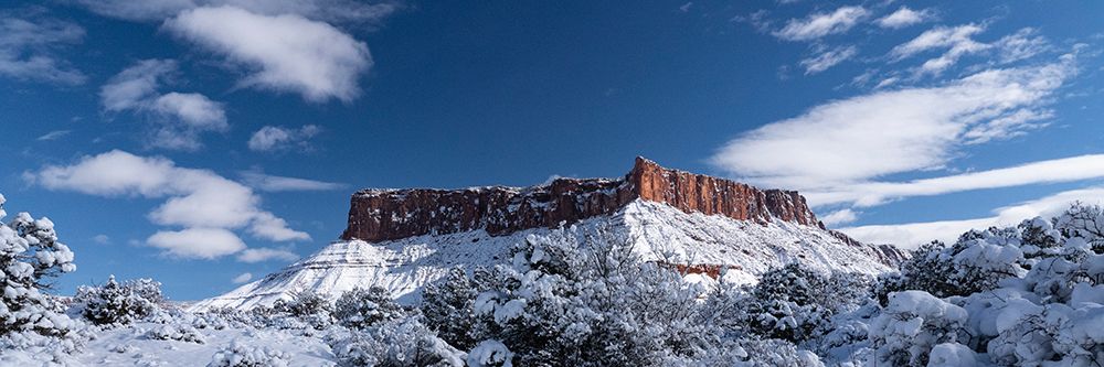USA-Utah Winter snowfall in Castle Valley art print by Judith Zimmerman for $57.95 CAD