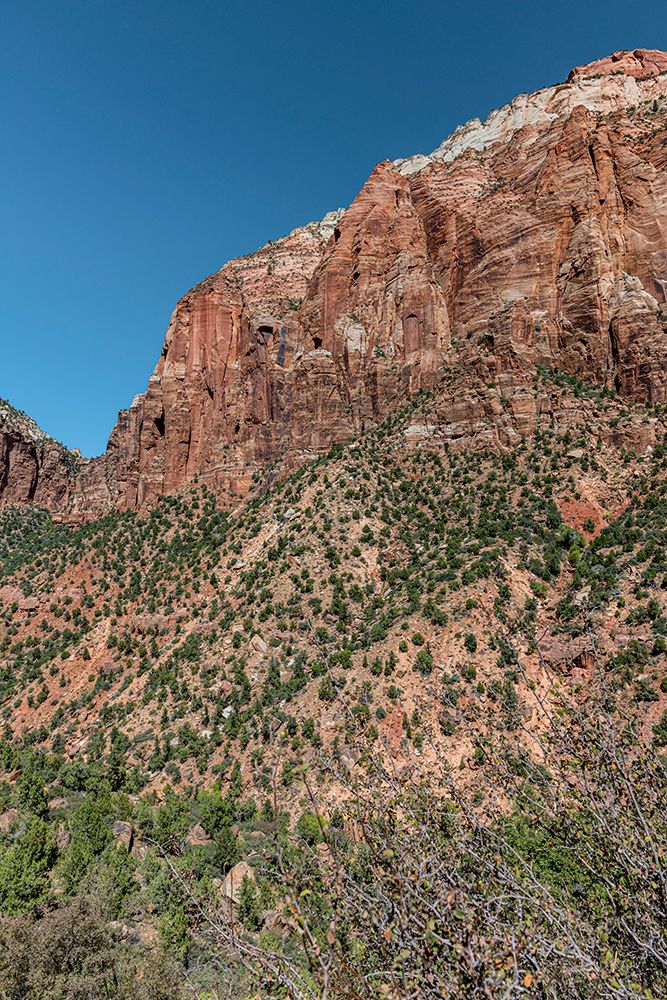 Scenic vista of Zion National Park. art print by Larry Richardson for $57.95 CAD