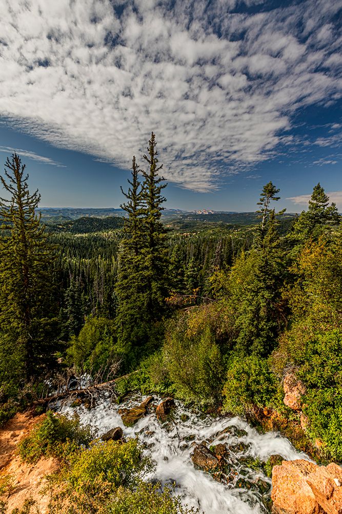 Vista from Cascade Falls in Dixie National Forest. art print by Larry Richardson for $57.95 CAD