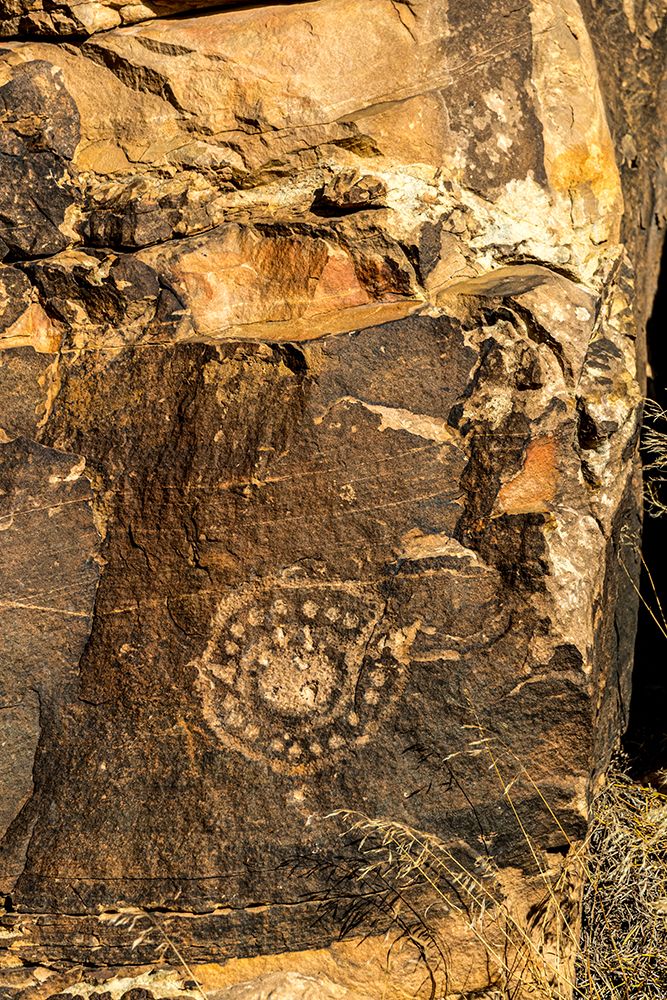 Ancient petroglyphs seen at Parowan Gap. art print by Larry Richardson for $57.95 CAD