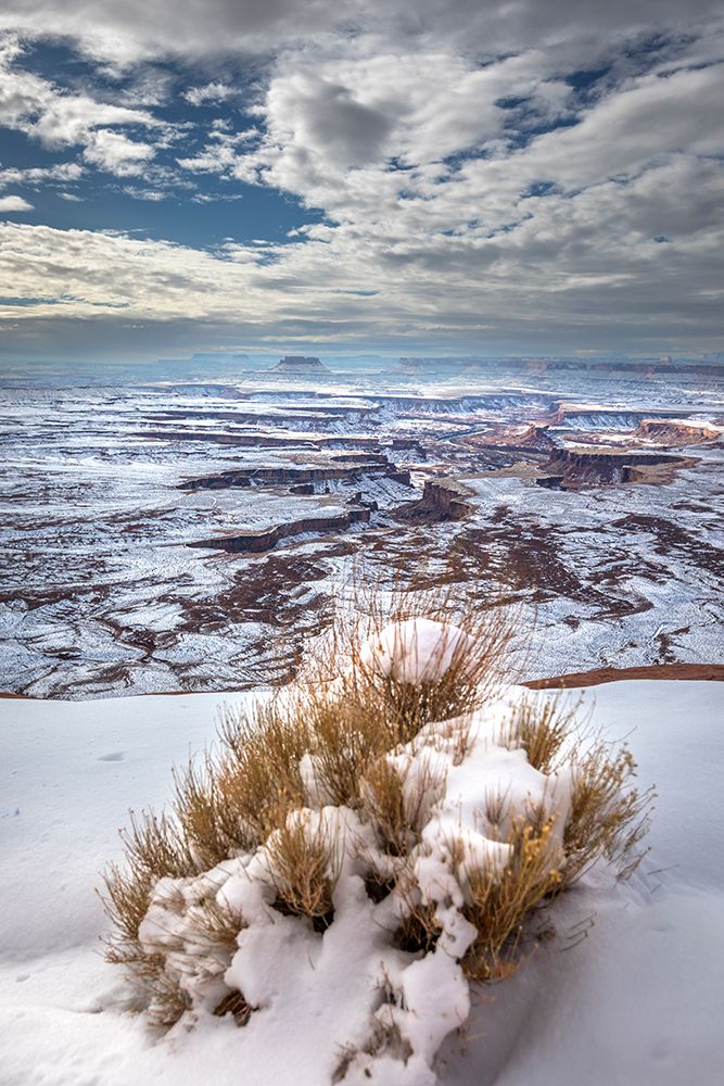 A light snowfall and contrasting orange-colored terrain,e rugged landscape of Canyonlands NP. art print by Larry Richardson for $57.95 CAD
