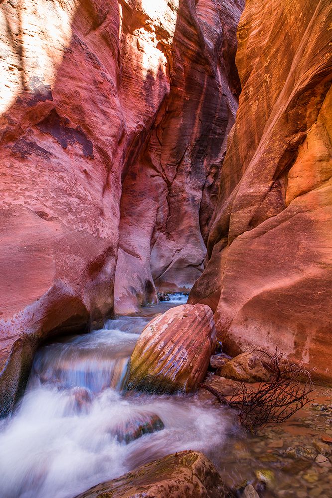 Kanarraville-Utah. Hiking through the red rock slot canyons in Kanarraville-Utah. art print by Micah Wright for $57.95 CAD