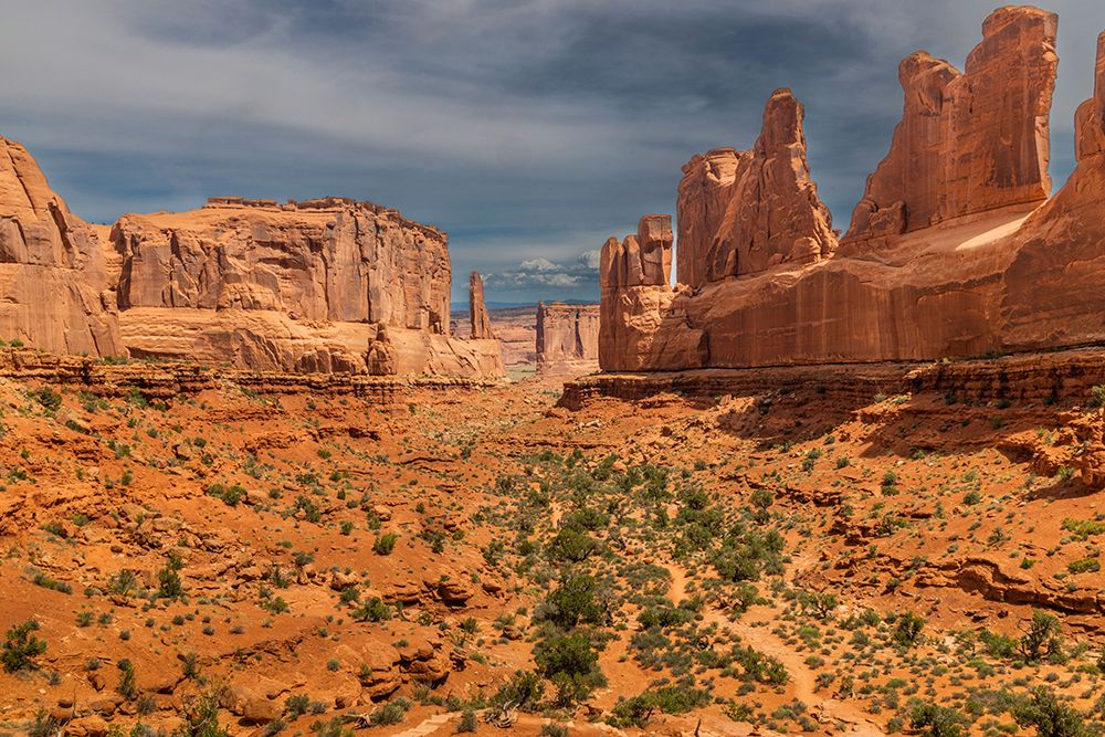 Park Avenue, Arches National Park, Utah, USA. art print by Roddy Scheer for $57.95 CAD