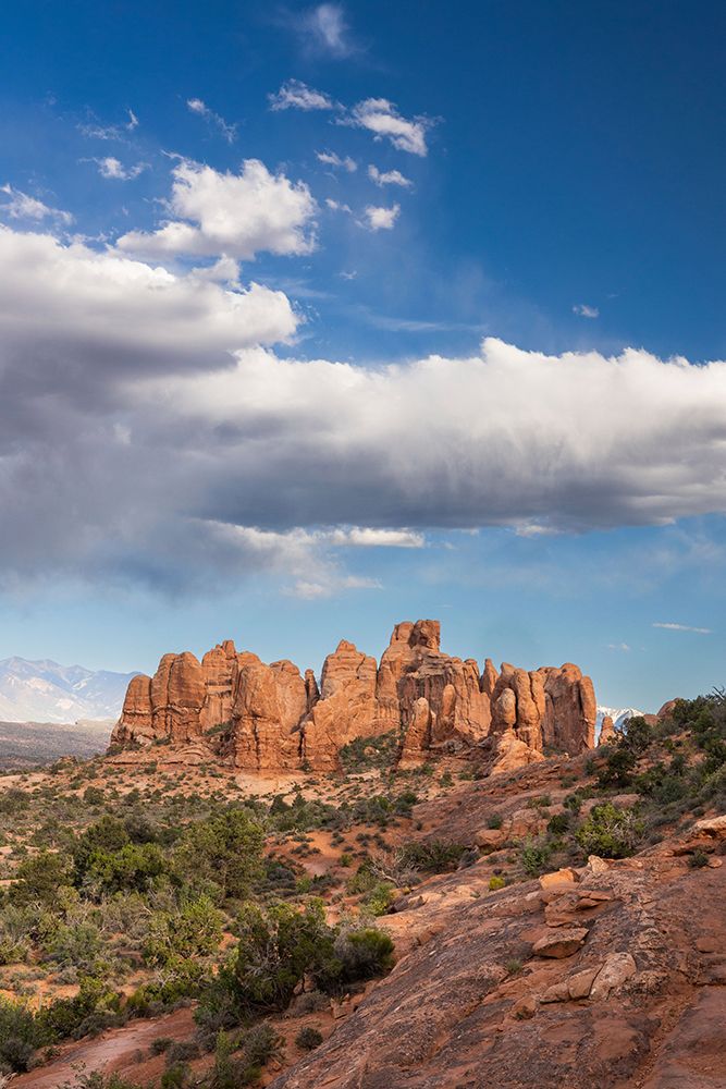 The Windows, Arches National Park, Utah, USA. art print by Roddy Scheer for $57.95 CAD