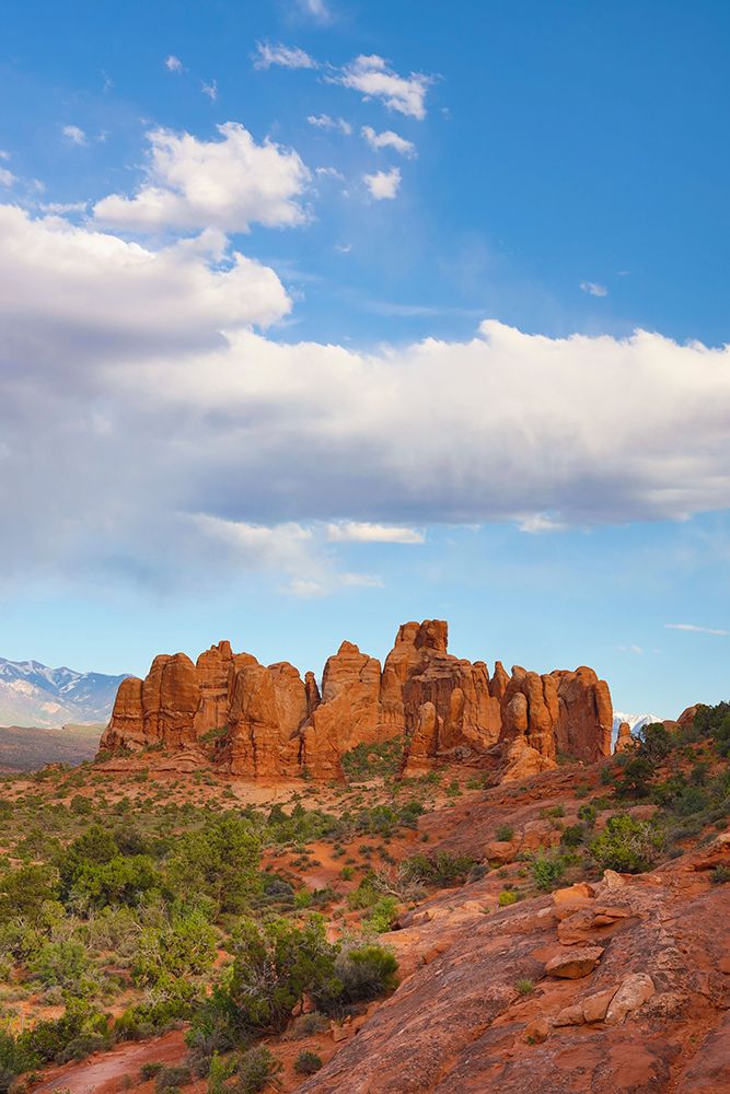 The Windows, Arches National Park, Utah, USA. art print by Roddy Scheer for $57.95 CAD