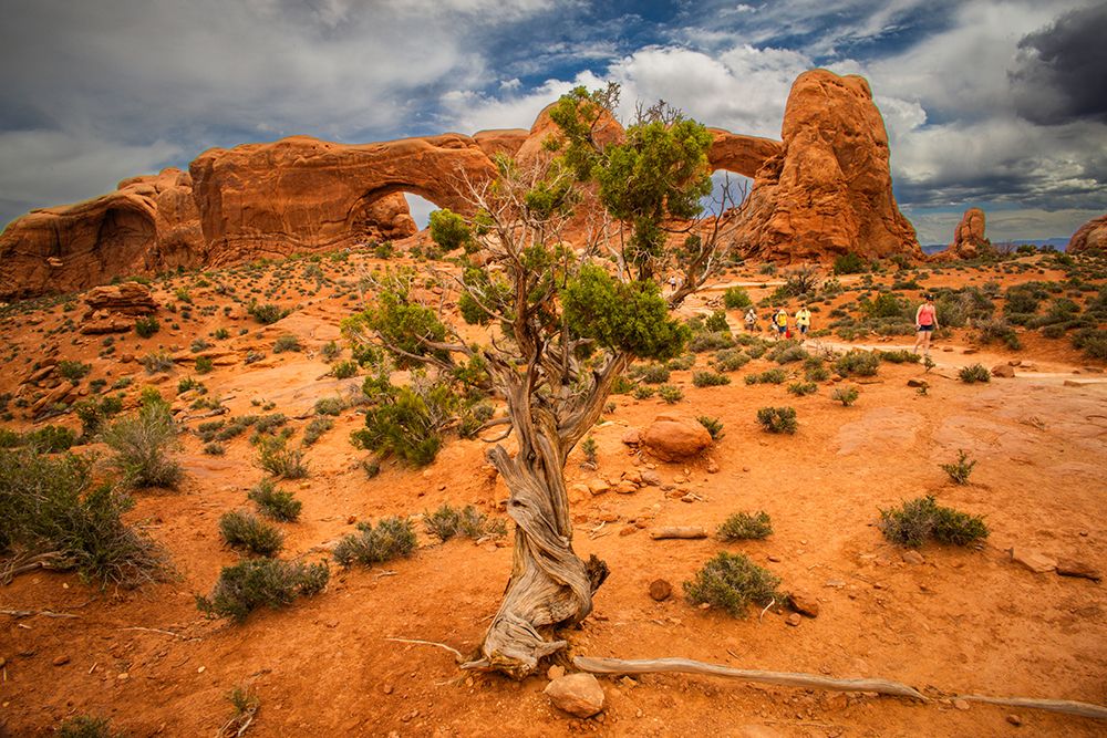 Turret Arch, Arches National Park, Utah, USA. art print by Roddy Scheer for $57.95 CAD