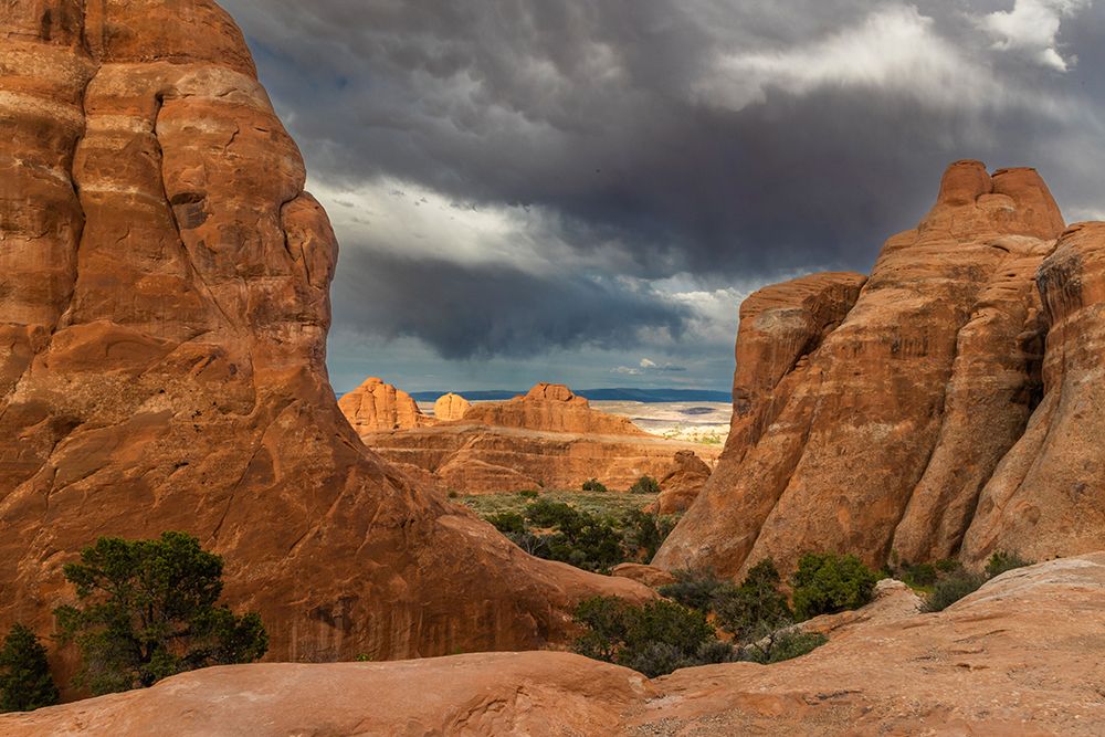 Devils Garden Trail, Arches National Park, Utah, USA. art print by Roddy Scheer for $57.95 CAD