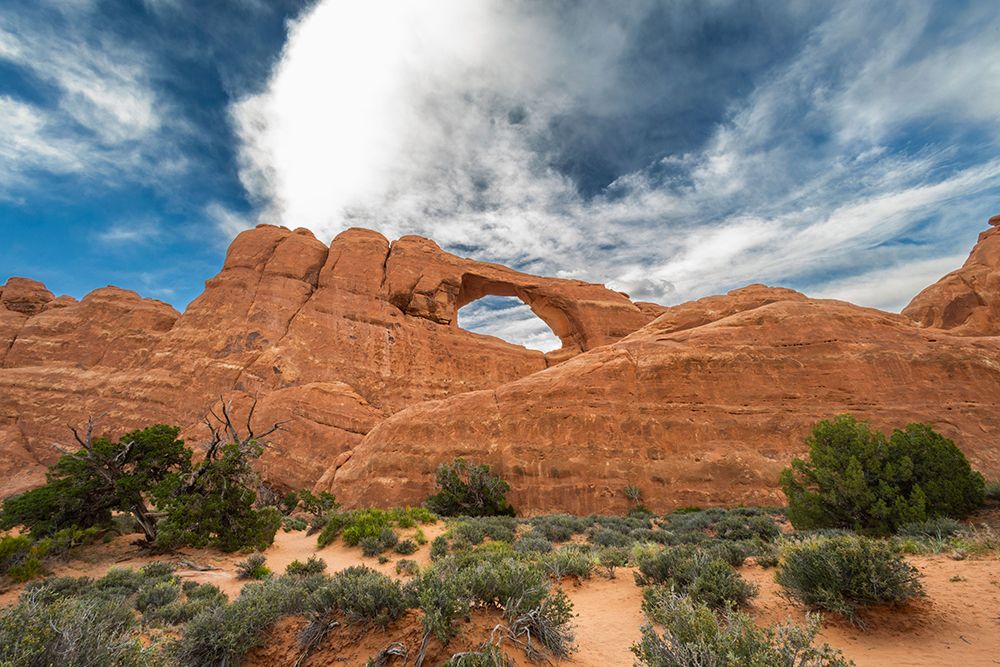 Skyline Arch, Arches National Park, Utah, USA. art print by Roddy Scheer for $57.95 CAD