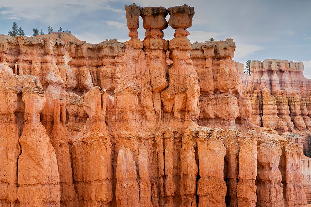 Bryce Canyon National Park, Utah, USA. art print by Roddy Scheer for $57.95 CAD