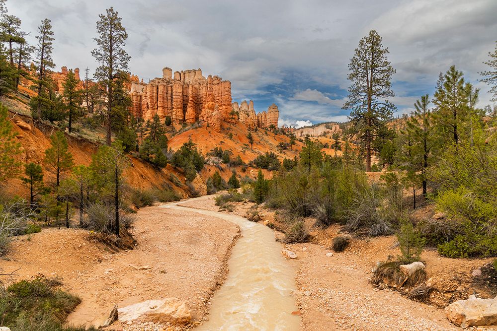 Mossy Cave, Bryce Canyon National Park, Utah, USA. art print by Roddy Scheer for $57.95 CAD