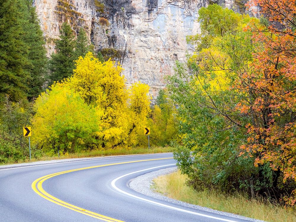 Utah-Logan Pass and highway 89 fall color with Aspen and Maple Trees art print by Sylvia Gulin for $57.95 CAD