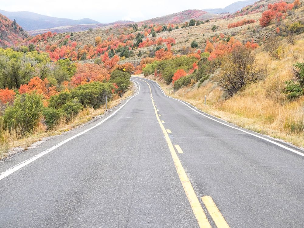 Utah Highway 39 heading west out of Wasatch Mountains with Autumn colors art print by Sylvia Gulin for $57.95 CAD