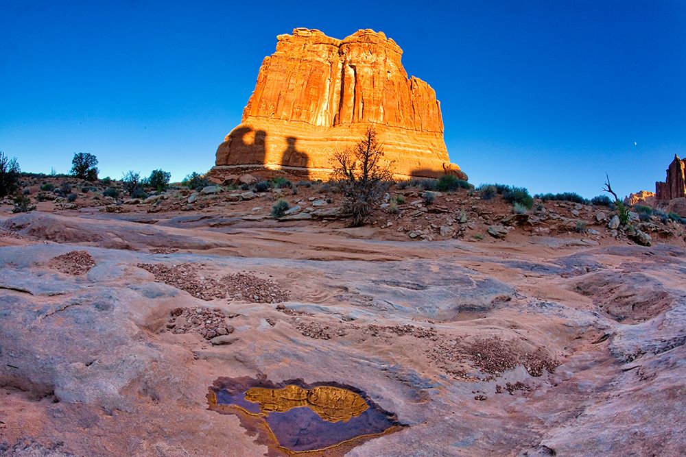 Arches National Park evening light-USA-Utah art print by Terry Eggers for $57.95 CAD