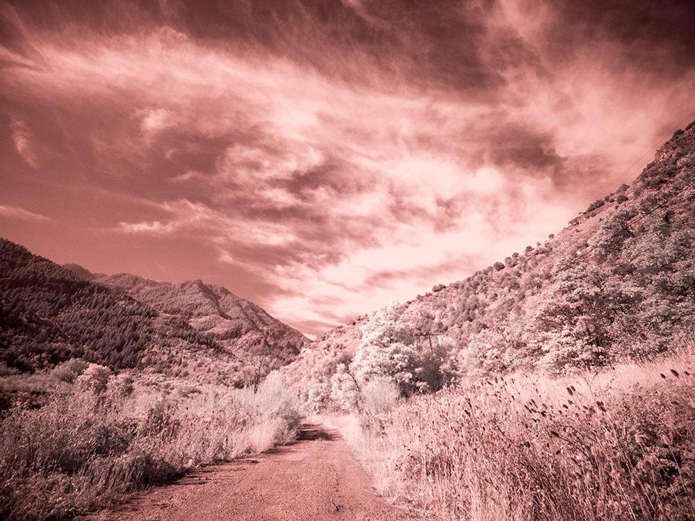 USA-Utah-Infrared of backroad in the Logan Pass area art print by Terry Eggers for $57.95 CAD