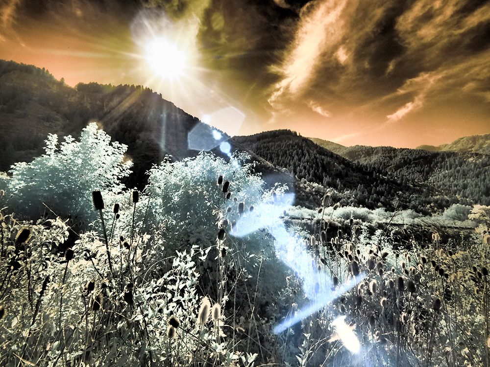 USA-Utah-Infrared of the Logan Pass area with sunrays art print by Terry Eggers for $57.95 CAD