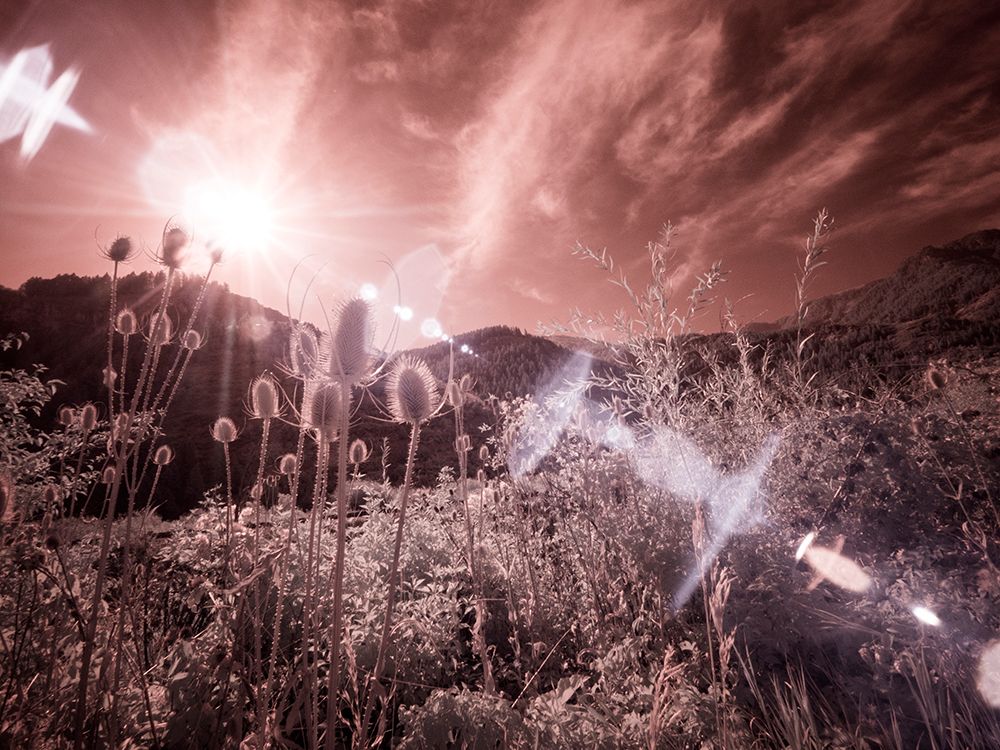USA-Utah-Infrared of the Logan Pass area with sunrays art print by Terry Eggers for $57.95 CAD