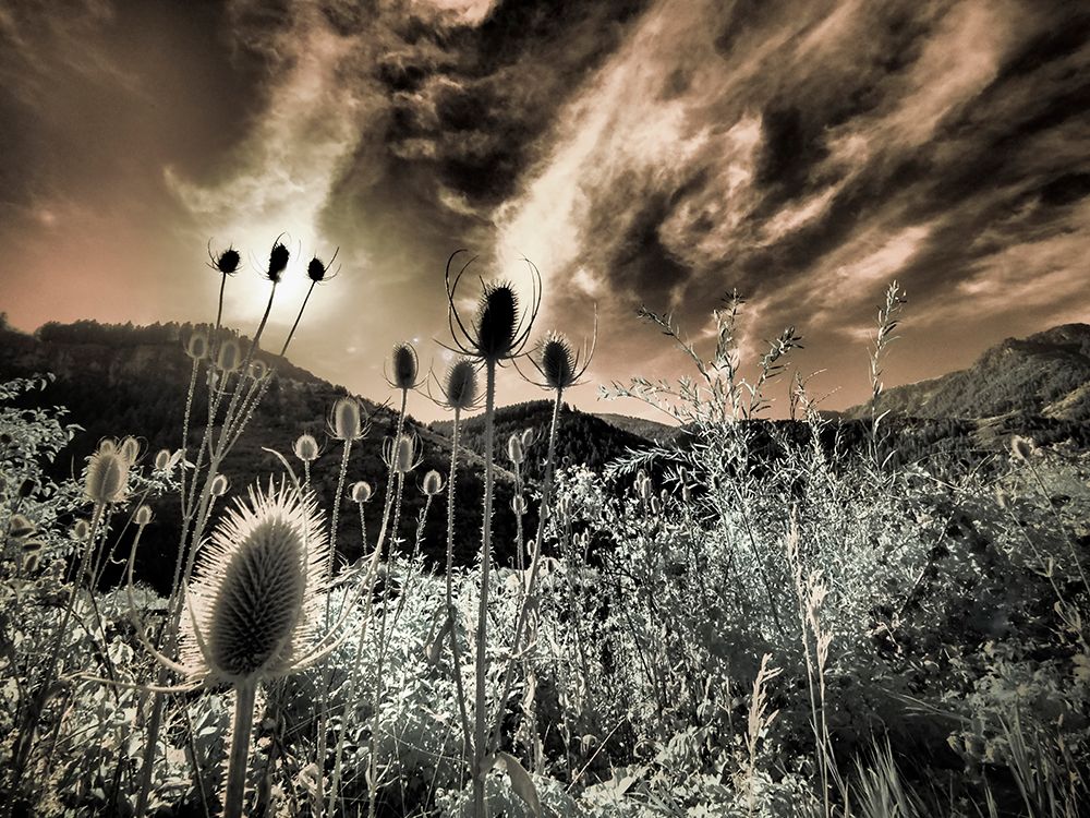 USA-Utah-Infrared of the Logan Pass area art print by Terry Eggers for $57.95 CAD