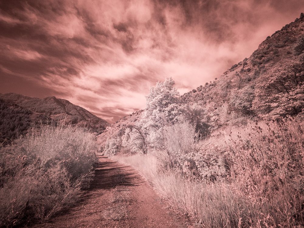 USA-Utah-Infrared of backroad in the Logan Pass area art print by Terry Eggers for $57.95 CAD