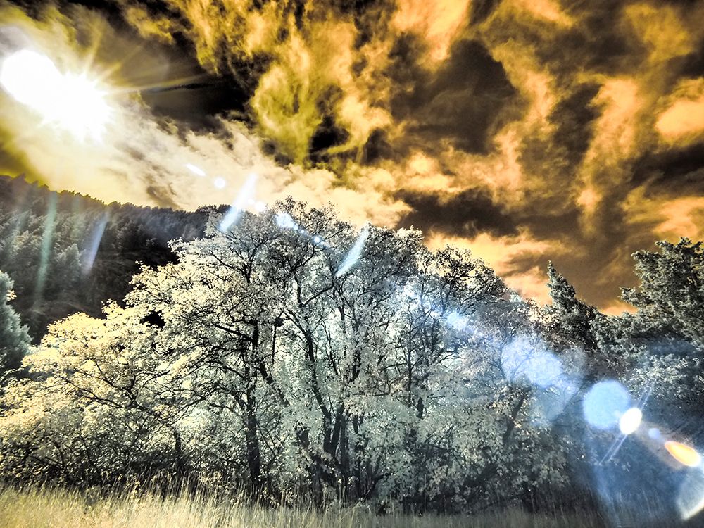 USA-Utah-Infrared of the Logan Pass area and lone tree art print by Terry Eggers for $57.95 CAD