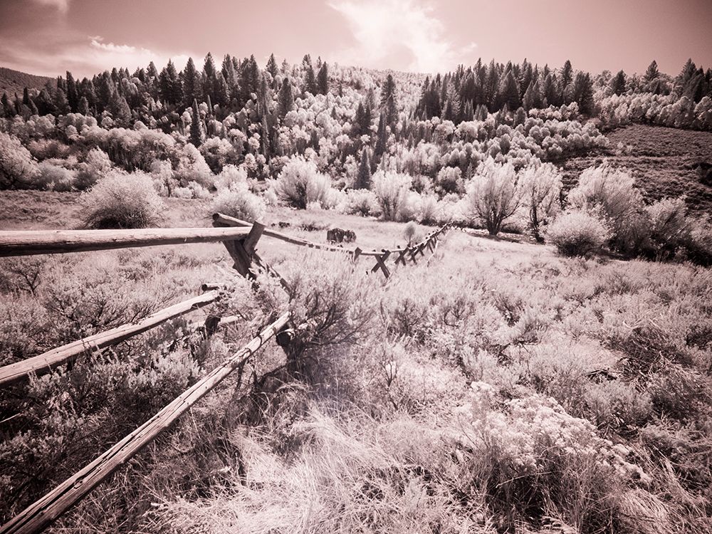 USA-Utah-Infrared of the Logan Pass area with long rail fence art print by Terry Eggers for $57.95 CAD