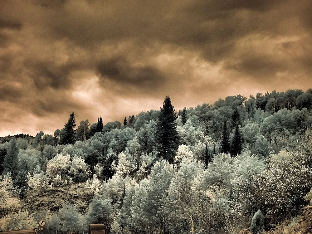 USA-Utah-Aspen Grove in infrared of the Logan Pass area art print by Terry Eggers for $57.95 CAD