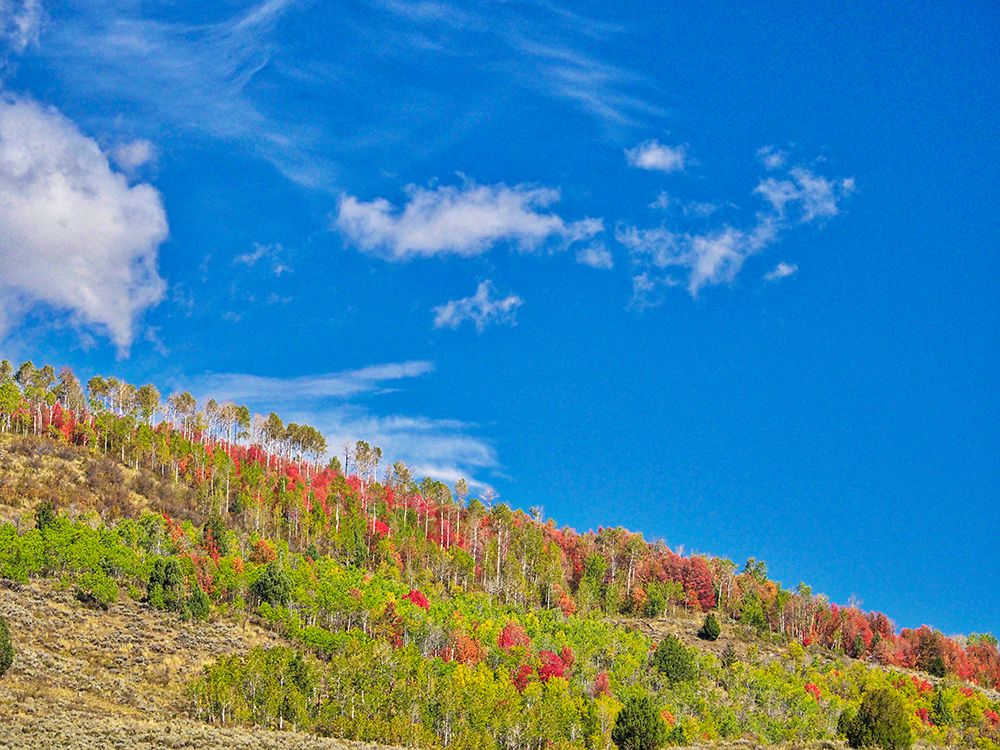 USA-Utah-Logan Pass Colorful autumn in Provo Pass art print by Terry Eggers for $57.95 CAD