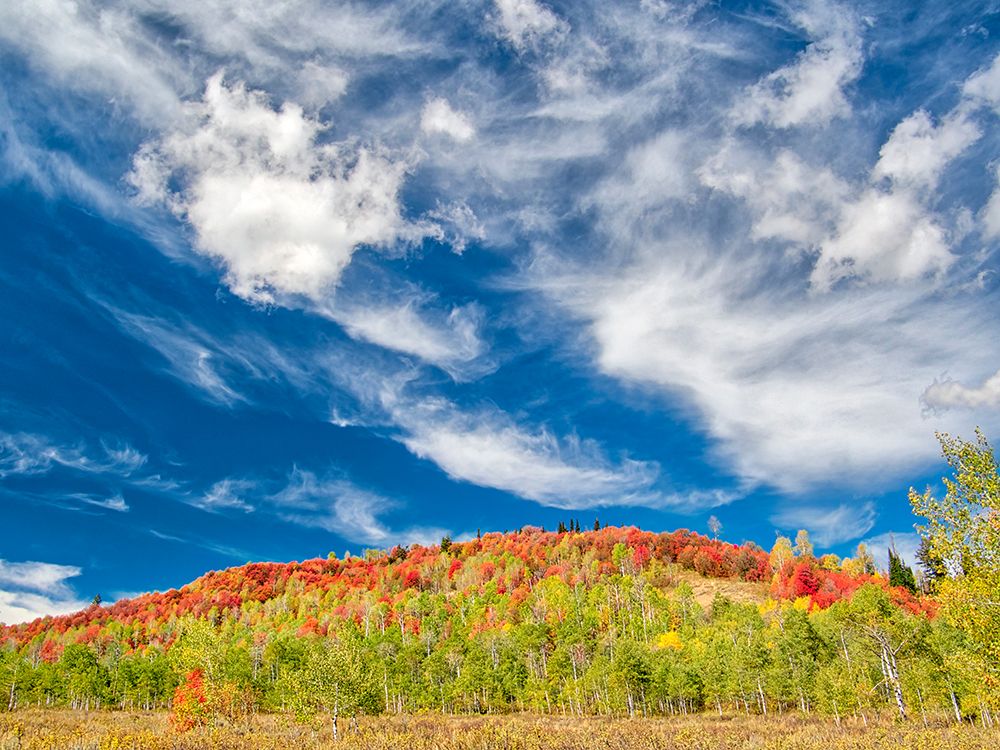 USA-Utah-Logan Pass Colorful autumn in Provo Pass art print by Terry Eggers for $57.95 CAD