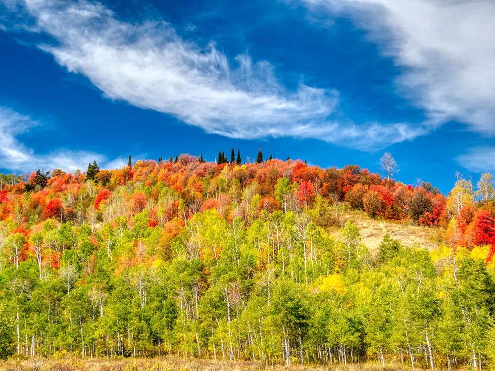 USA-Utah-Logan Pass Colorful autumn in Provo Pass art print by Terry Eggers for $57.95 CAD