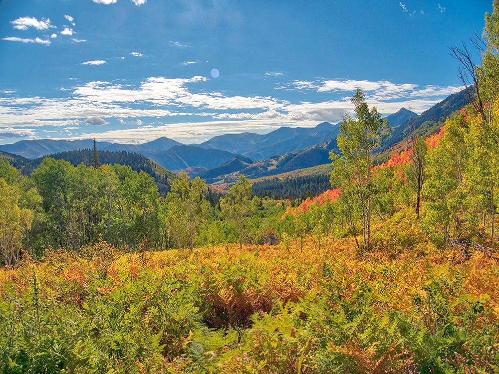 USA-Utah-Logan Pass Colorful autumn in Provo Pass art print by Terry Eggers for $57.95 CAD