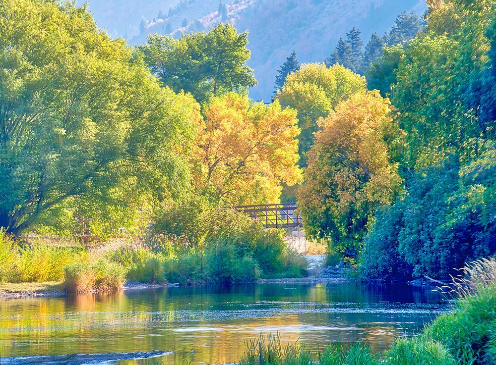 USA-Utah-Logan Canyon Colorful aspens in autumn art print by Terry Eggers for $57.95 CAD