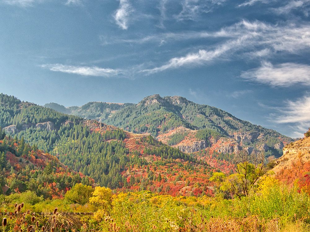 USA-Utah-Logan Canyon Colorful aspens in autumn art print by Terry Eggers for $57.95 CAD