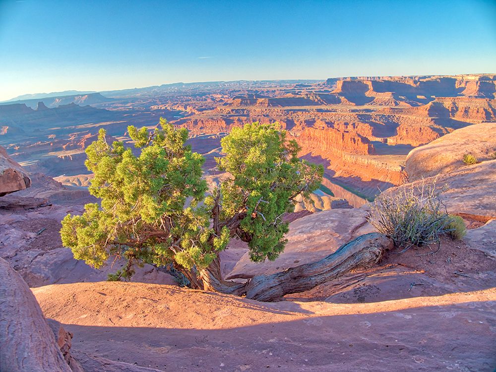 USA-Utah Dead Horse Point State Park-sunrise view of the canyon below art print by Terry Eggers for $57.95 CAD